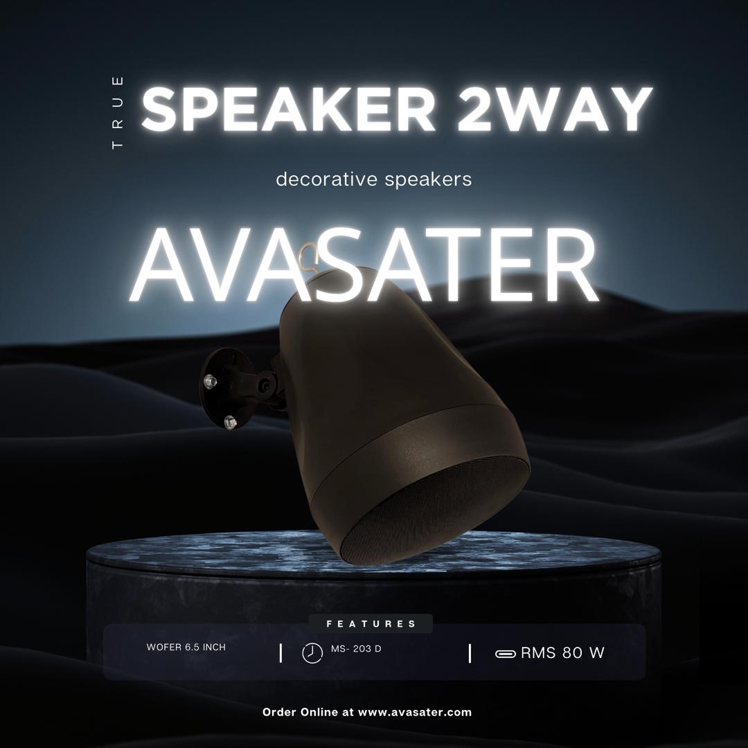 اسپیکر دکوراتیو و آویزی MSE 203 D